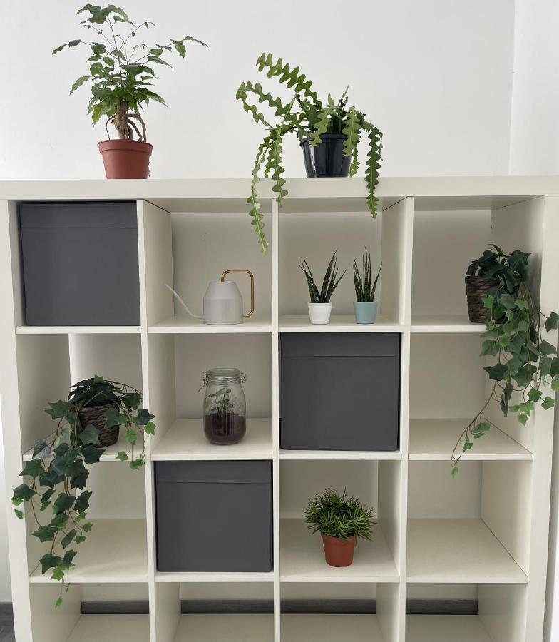 Appartement Ami House